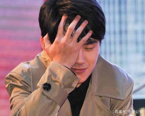 色情男明星,从辉煌到陨落的人生轨迹