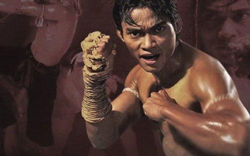 泰国功夫明星电影,泰国功夫巨星的电影传奇