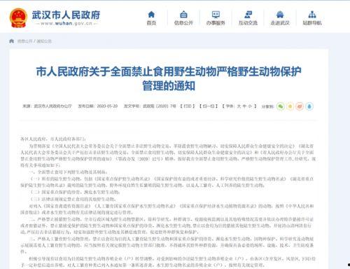 社会新闻怎么爆料的,追踪事件爆发背后的爆料线索