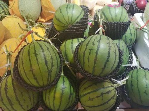 吃瓜小虞,揭秘娱乐圈那些不为人知的幕后故事