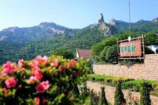 荣成柳家村新闻头条,乡村振兴新典范，绿色发展谱新篇