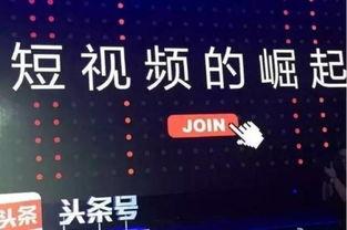 头条号发言视频,精彩瞬间与深度解读