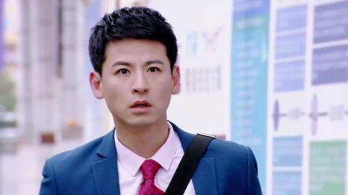 苦乐村官明星,明星的乡村蜕变之旅