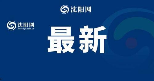 头条粉丝低价,抢购热潮来袭！