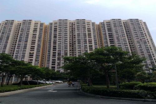 南沙市麒麟新村新闻头条,焕新升级，麒麟新村焕发新活力