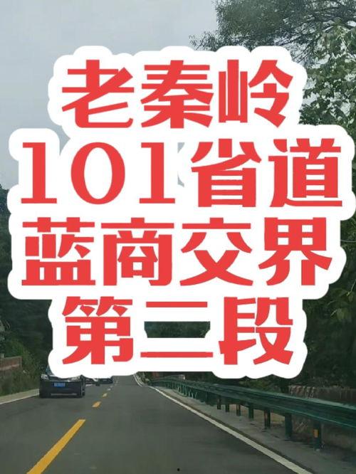 商洛今日头条公安局,聚焦警情动态，守护平安商洛