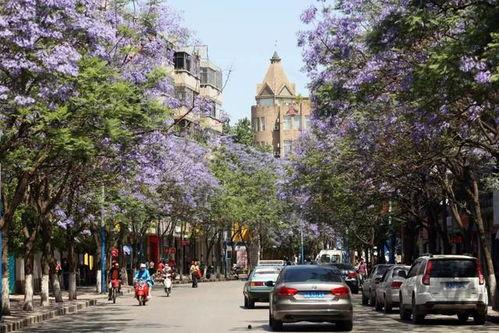 旅游新闻最新头条云南,探寻秘境，体验多元风情