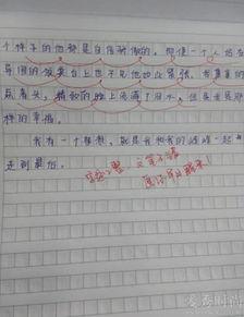 应该怎么对待明星作文,理性对待，文明追星