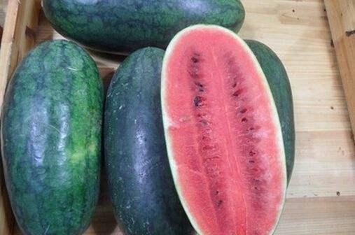 西昌17度吃瓜视频,夏日清凉美食之旅