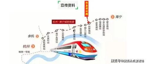 海宁洛塘新闻头条视频