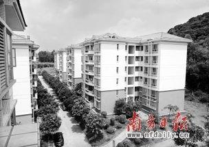 寿县萝岗镇新闻头条,聚焦乡村振兴新篇章