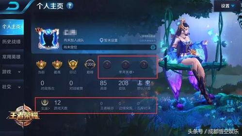 爆料王者英雄配乐大全视频,音乐背后的故事与情感共鸣