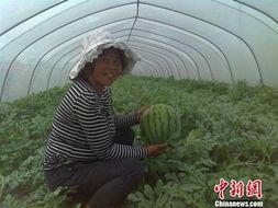 开花店女主吃瓜,一场浪漫的甜蜜邂逅