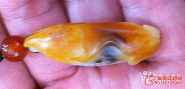 金包玉籽料怎么看品质,揭秘优质籽料的奥秘